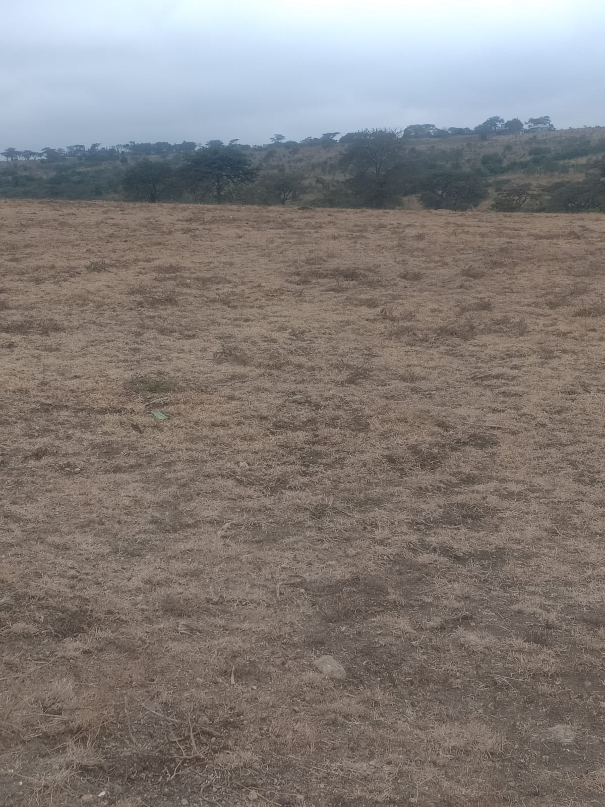 Additional property image